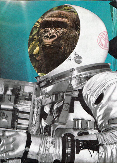 HATE MAIL? FOR YA FAT F#CK HATE MAIL? FOR YA FAT F#CK